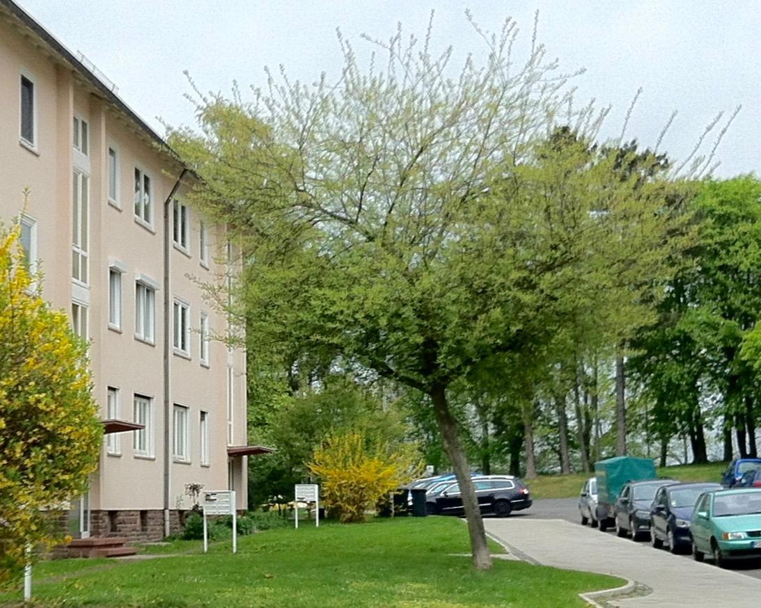 Ask Rooms Privatzimmer In Kassel Bagian luar foto